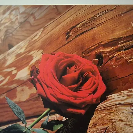 Apartmán Bergblick *