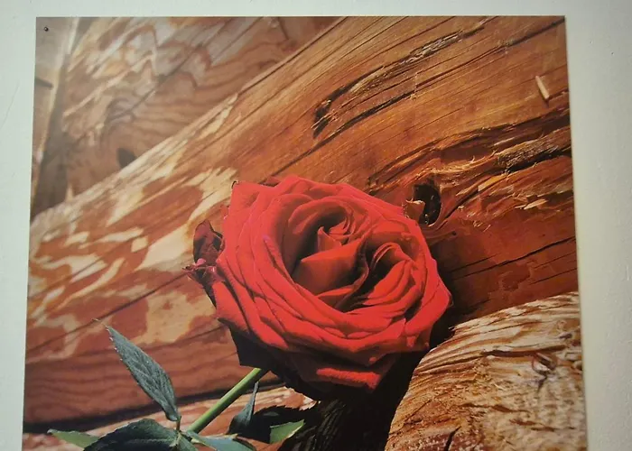 Apartmán Bergblick *